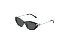 TIFFANY&CO 0TF4231U 8005S4