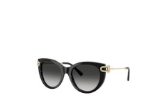 TIFFANY&CO 0TF4232 80013C